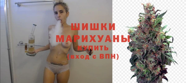 мдпв Лагань