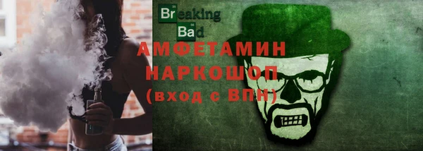 индика Ладушкин