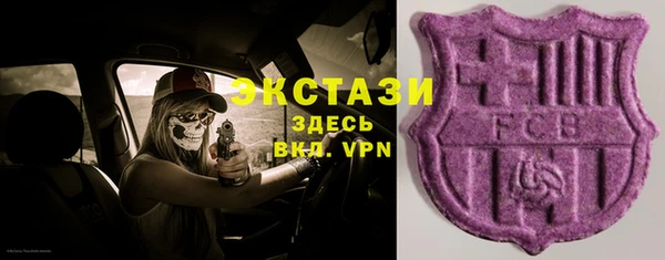 индика Ладушкин