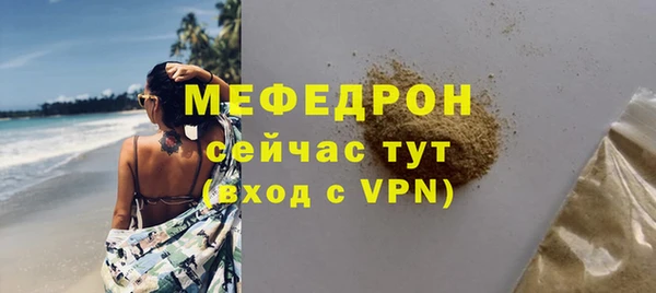 индика Ладушкин
