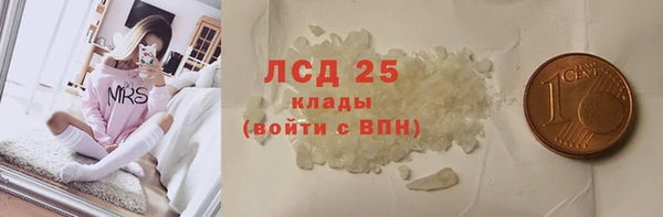 индика Ладушкин