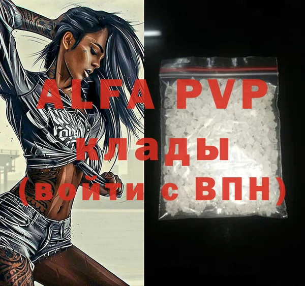 прущие грибы Вязники