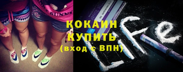 мдпв Лагань