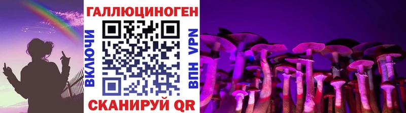 наркота  Воронеж  Галлюциногенные грибы Magic Shrooms 